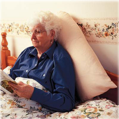 V-Shaped Back Support Pillow